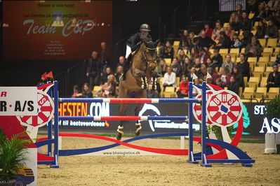 Dansk varmblod hingstekåring.
Stutteri Ask 145cm
Nøgleord: karin martinsen;tailormade concella blue ps