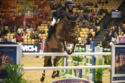 Dansk varmblod hingstekåring.
Stutteri Ask 145cm
Nøgleord: karin martinsen;tailormade concella blue ps