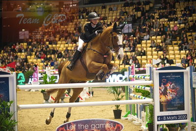 Dansk varmblod hingstekåring.
Stutteri Ask 145cm
Nøgleord: caroline refhoff pedersen;carolus-magnus