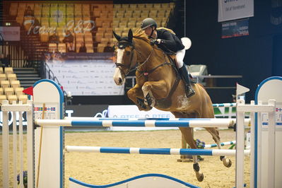 Dansk varmblod hingstekåring.
Stutteri Ask 145cm
Nøgleord: caroline refhoff pedersen;carolus-magnus