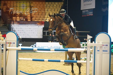 Dansk varmblod hingstekåring.
Stutteri Ask 145cm
Nøgleord: solveig fotland newermann;niaras stb boy