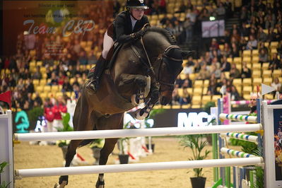 Dansk varmblod hingstekåring.
Stutteri Ask 145cm
Nøgleord: zasha nygaard andersen;campino 499