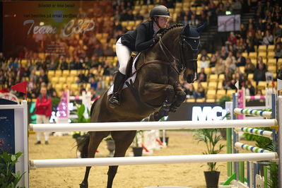 Dansk varmblod hingstekåring.
Stutteri Ask 145cm
Nøgleord: sofie slattery;valentine du bois pinchet