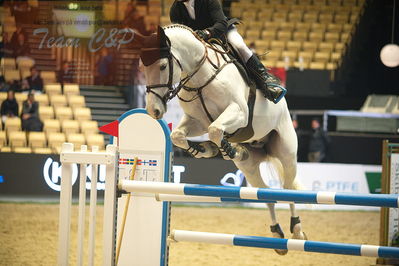 Dansk varmblod hingstekåring.
Stutteri Ask 145cm
Nøgleord: rolf-goren bengtsson;emir r