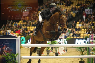 Dansk varmblod hingstekåring.
Stutteri Ask 145cm
Nøgleord: erik preben strand;indoletto