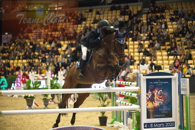 Dansk varmblod hingstekåring.
Stutteri Ask 145cm
Nøgleord: maksymilian wechta;celtia ll