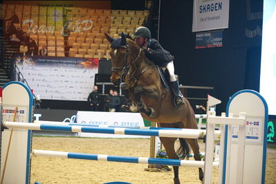 Dansk varmblod hingstekåring.
Stutteri Ask 145cm
Nøgleord: maksymilian wechta;celtia ll