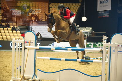 Dansk varmblod hingstekåring.
Stutteri Ask 145cm
Nøgleord: rikke haarstup kristensen;balouca z