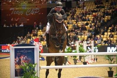 Dansk varmblod hingstekåring.
Stutteri Ask 145cm
Nøgleord: philip rüping;contunental blue