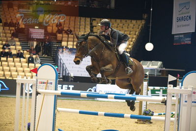 Dansk varmblod hingstekåring.
Stutteri Ask 145cm
Nøgleord: kevin beerse;fenia