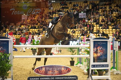 Dansk varmblod hingstekåring.
Stutteri Ask 145cm
Nøgleord: mille malene gjermundsen;decaday