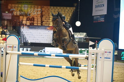 Dansk varmblod hingstekåring.
Stutteri Ask 145cm
Nøgleord: mille malene gjermundsen;decaday