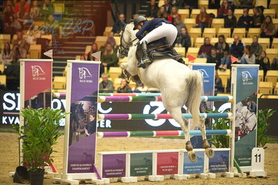 Dansk varmblod hingstekåring.
Stutteri Ask 145cm
Nøgleord: laura aromaa;campino 481