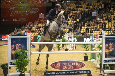 Dansk varmblod hingstekåring.
Stutteri Ask 145cm
Nøgleord: michael greeve;guan gjb