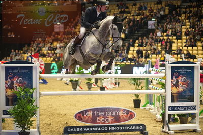 Dansk varmblod hingstekåring.
Stutteri Ask 145cm
Nøgleord: michael greeve;guan gjb