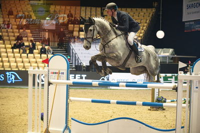 Dansk varmblod hingstekåring.
Stutteri Ask 145cm
Nøgleord: michael greeve;guan gjb