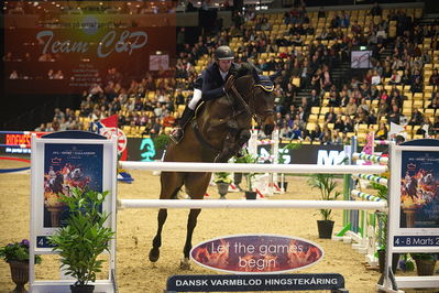 Dansk varmblod hingstekåring.
Stutteri Ask 145cm
Nøgleord: benjamin saurugg;brasilia 6