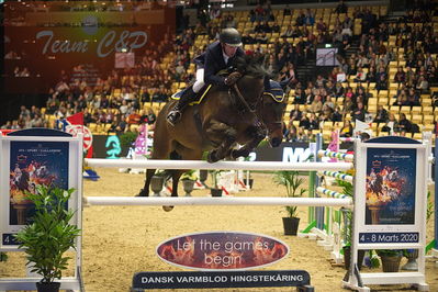 Dansk varmblod hingstekåring.
Stutteri Ask 145cm
Nøgleord: benjamin saurugg;brasilia 6