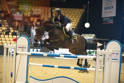 Dansk varmblod hingstekåring.
Stutteri Ask 145cm
Nøgleord: benjamin saurugg;brasilia 6