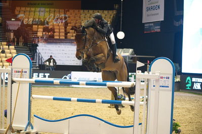 Dansk varmblod hingstekåring.
Stutteri Ask 145cm
Nøgleord: ivor biessen;nippon quality