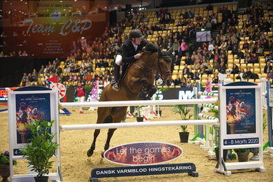 Dansk varmblod hingstekåring.
Stutteri Ask 145cm
Nøgleord: thomas sandgaard;nørremøllehøjs ariel
