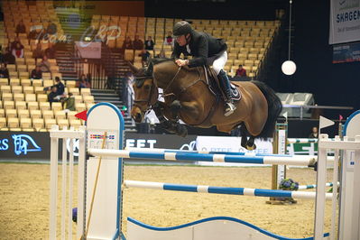 Dansk varmblod hingstekåring.
Stutteri Ask 145cm
Nøgleord: thomas sandgaard;nørremøllehøjs ariel