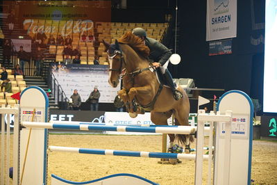 Dansk varmblod hingstekåring.
Stutteri Ask 145cm
Nøgleord: torben frandsen;ferdinand 273