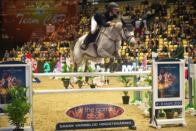 Dansk varmblod hingstekåring.
Stutteri Ask 145cm
Nøgleord: nellie berntsson;cornet's baloufree