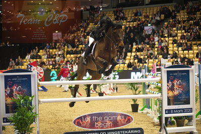 Dansk varmblod hingstekåring.
Stutteri Ask 145cm
Nøgleord: claudia verbugt;abbervail diamant