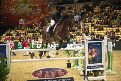 Dansk varmblod hingstekåring.
Stutteri Ask 145cm
Nøgleord: claudia verbugt;abbervail diamant