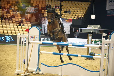Dansk varmblod hingstekåring.
Stutteri Ask 145cm
Nøgleord: claudia verbugt;abbervail diamant