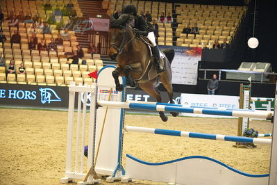 Dansk varmblod hingstekåring.
Stutteri Ask 145cm
Nøgleord: claudia verbugt;abbervail diamant