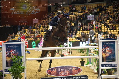 Dansk varmblod hingstekåring.
Stutteri Ask 145cm
Nøgleord: egor shchibrik;cassanova f z