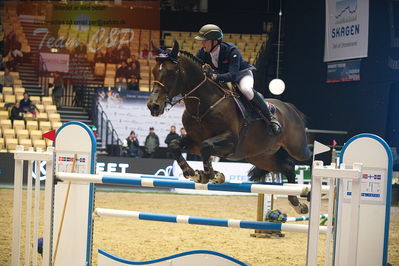 Dansk varmblod hingstekåring.
Stutteri Ask 145cm
Nøgleord: egor shchibrik;cassanova f z