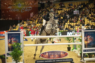 Dansk varmblod hingstekåring.
Stutteri Ask 145cm
Nøgleord: sofie kroon;laure van de kakebeek