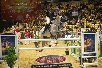 Dansk varmblod hingstekåring.
Stutteri Ask 145cm
Nøgleord: sofie kroon;laure van de kakebeek