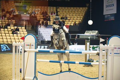 Dansk varmblod hingstekåring.
Stutteri Ask 145cm
Nøgleord: sofie kroon;laure van de kakebeek