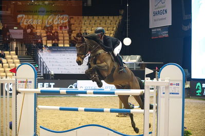 Dansk varmblod hingstekåring.
Stutteri Ask 145cm
Nøgleord: beau schuttelaar;fuji