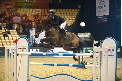 Dansk varmblod hingstekåring.
Stutteri Ask 145cm
Nøgleord: beau schuttelaar;fuji