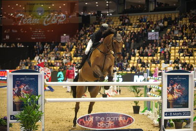 Dansk varmblod hingstekåring.
Stutteri Ask 145cm
Nøgleord: hans  ley;quincy rold