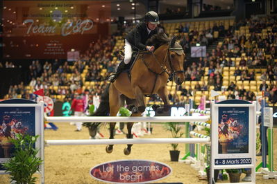 Dansk varmblod hingstekåring.
Stutteri Ask 145cm
Nøgleord: hans  ley;quincy rold