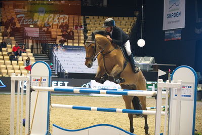 Dansk varmblod hingstekåring.
Stutteri Ask 145cm
Nøgleord: hans  ley;quincy rold