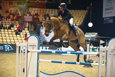 Dansk varmblod hingstekåring.
Stutteri Ask 145cm
Nøgleord: hans  ley;quincy rold