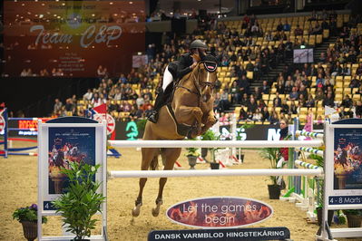 Dansk varmblod hingstekåring.
Stutteri Ask 145cm
Nøgleord: janelle larsson;staraime esc z