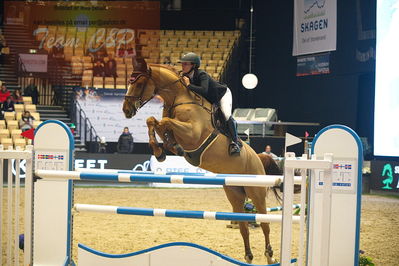 Dansk varmblod hingstekåring.
Stutteri Ask 145cm
Nøgleord: janelle larsson;staraime esc z