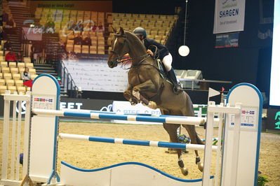 Dansk varmblod hingstekåring.
Stutteri Ask 145cm
Nøgleord: mel thijssen;gaudi
