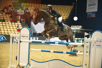 Dansk varmblod hingstekåring.
Stutteri Ask 145cm
Nøgleord: mel thijssen;gaudi
