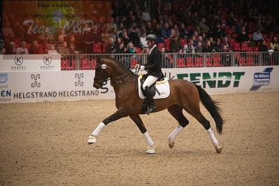 Dansk varmblod hingstekåring.
4års hingste præsentation
Nøgleord: tophøjs falchetto