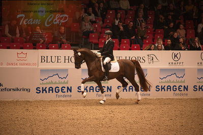 Dansk varmblod hingstekåring.
4års hingste præsentation
Nøgleord: duke;jan møller Christensen