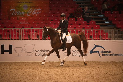 Dansk varmblod hingstekåring.
4års hingste præsentation
Nøgleord: duke;jan møller Christensen